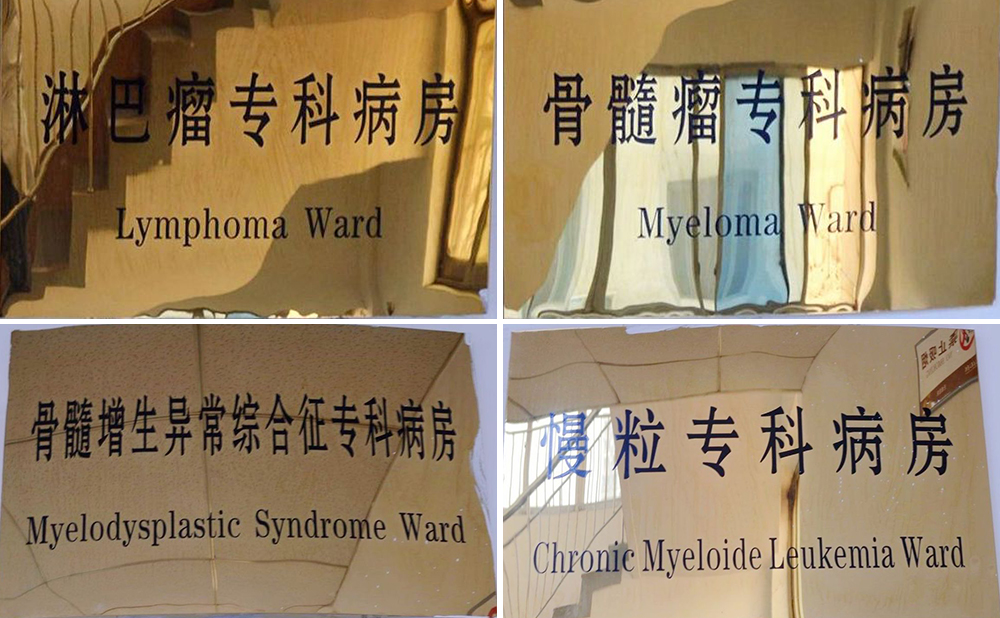 血液科各亚专业病房