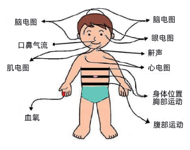 图片-2.jpg 图片-2.jpg